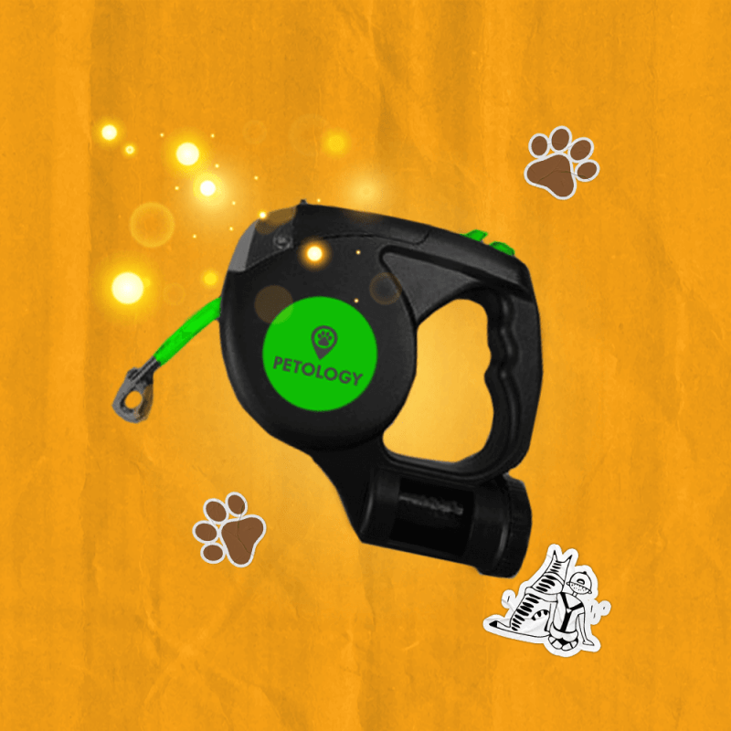 Correa de paseo para perro pequeño con luz LED y contenedor para bolsas